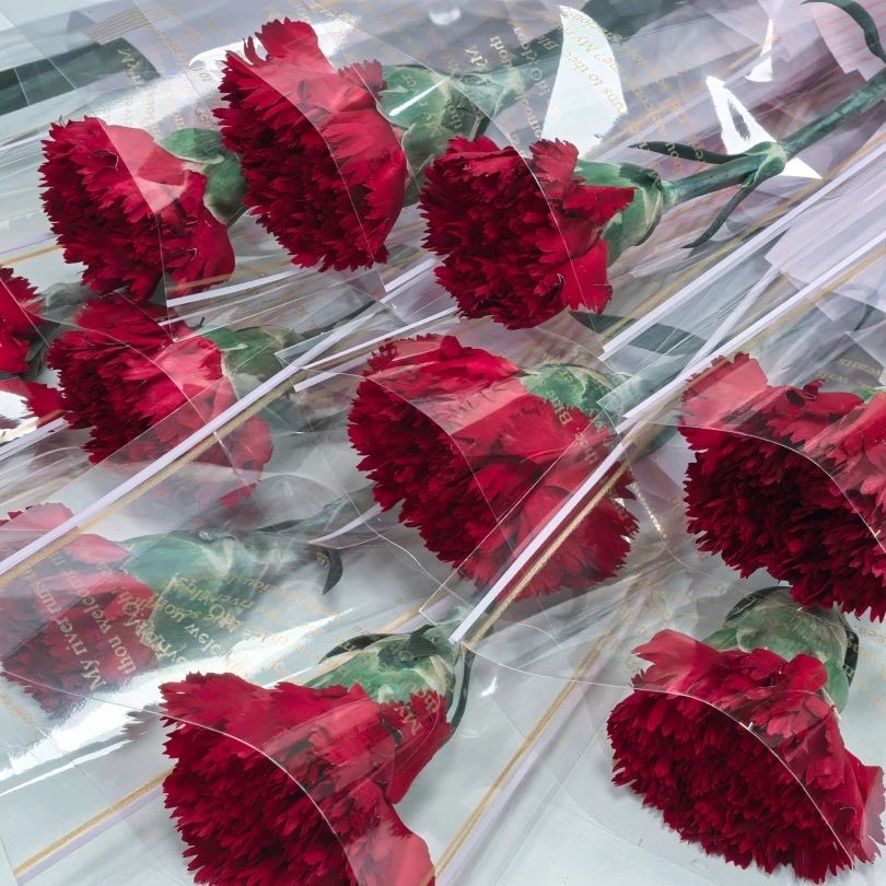 婦女節(jié) | 春風(fēng)如你，熠熠芳華